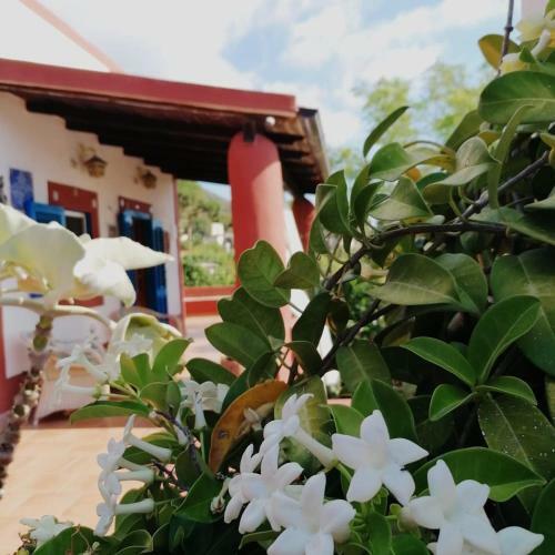 Bed & Breakfast Villino Miraglia