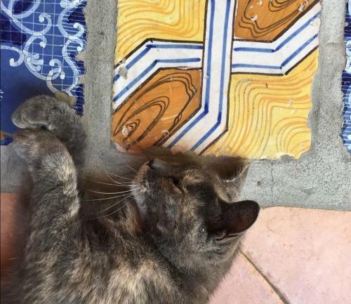 Bed & Breakfast Villino Miraglia