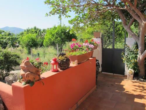 Bed & Breakfast Villino Miraglia