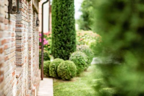 Apartamento Poggio Antico