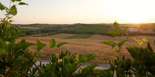 Apartamento Poggio Antico