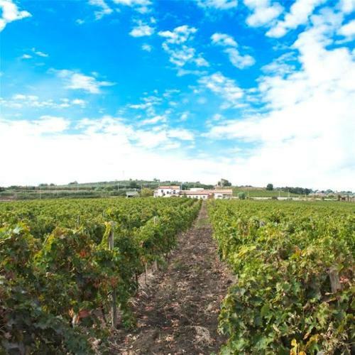 Agroturismo I Dolci Grappoli