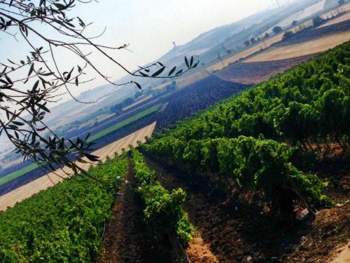 Agroturismo I Dolci Grappoli