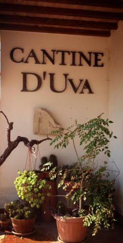 Agroturismo I Dolci Grappoli