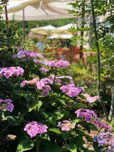 Agroturismo Il Baco Da Seta