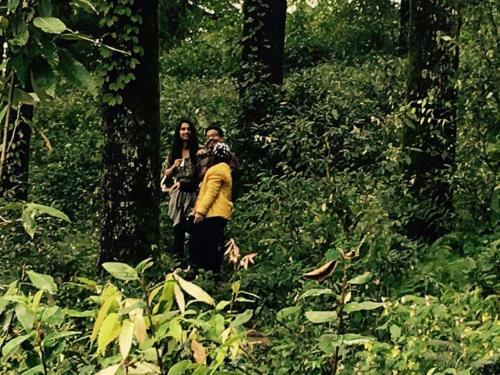 Greenlust Camps & Resorts