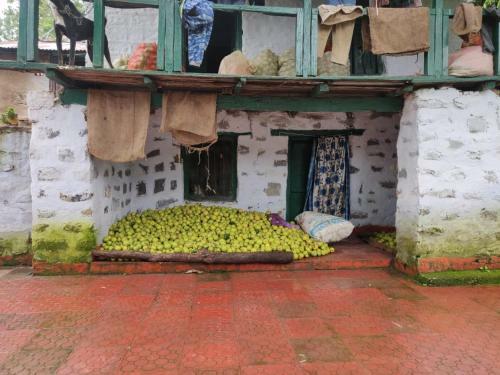 Greenlust Camps & Resorts