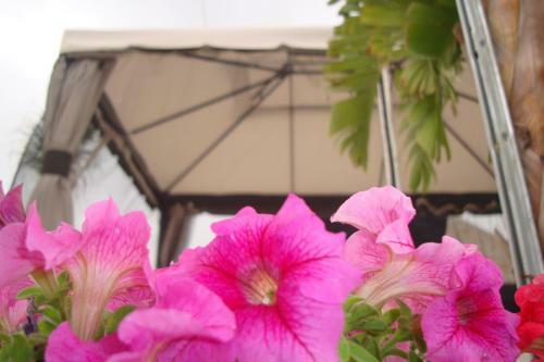 L'agave B&B Trapani Garden Paradise