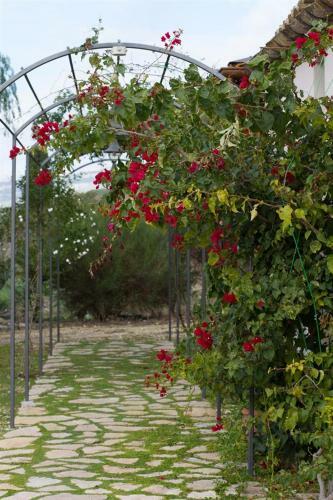 Agroturismo Agriturismo Baglio Donna Santa