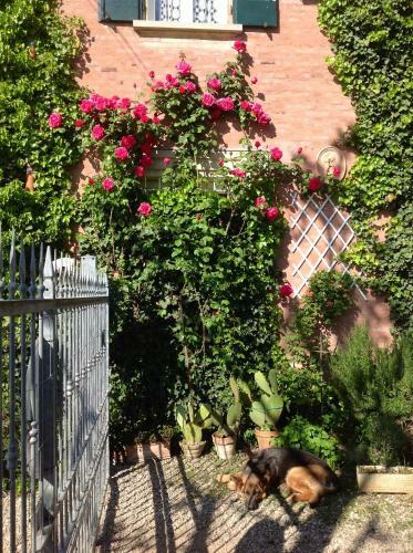 Bed & Breakfast Al Porretto