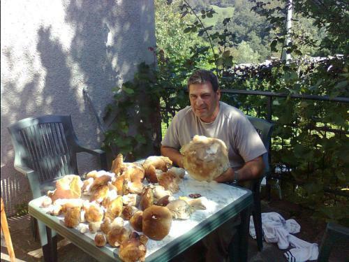 B&B Il Bosco Delle Fate