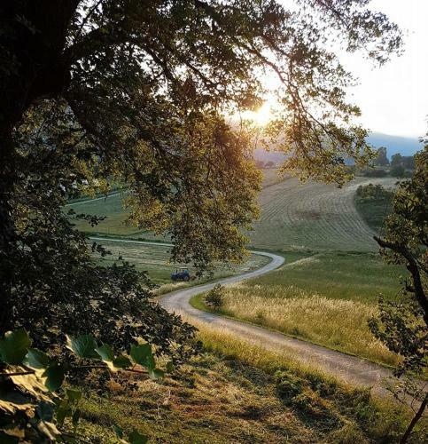 Agroturismo Agriturismo Al Varco D'oro