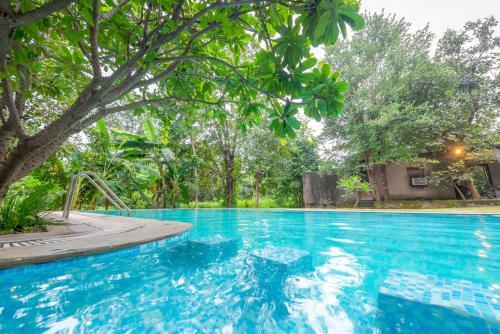 Hotel Beyond Stay Mahua Vann Pench