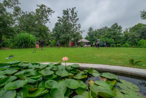 Hotel Beyond Stay Mahua Vann Pench
