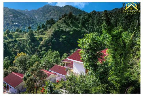 Hotel Skywood Resort