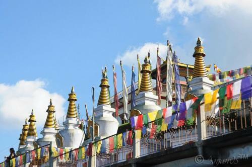 Hotel Vamoose Kunga Delek
