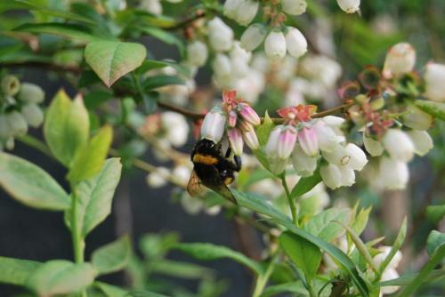 Agroturismo Tenuta Fortelongo