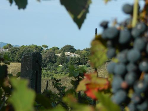 Apartamento B&B Residenza La Canonica