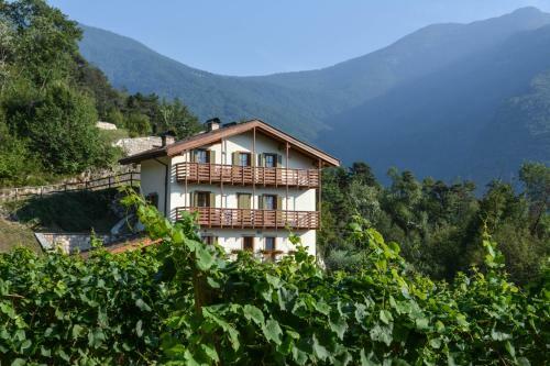 Apartamento Maso Salim Relaxapartments