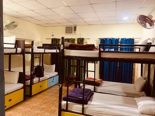 The Funky Monkey Hostel