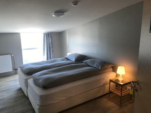 Hostal Blue Viking