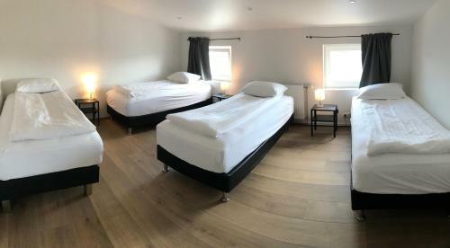 Hostal Blue Viking