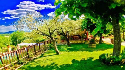 Spoleto Splash/whole Private Village/sleeps 20
