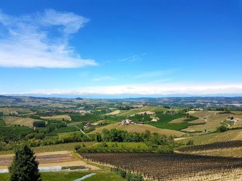 Bed & Breakfast Villa Bellavista Alba