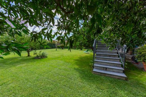 Apartamento La Casetta Sull'albero