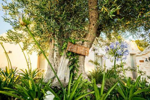 Villa Trullo Lea - Alberobello