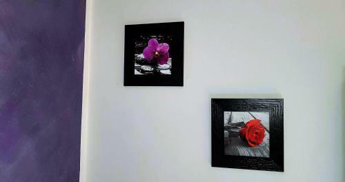 Apartamento La Becca Di Nona