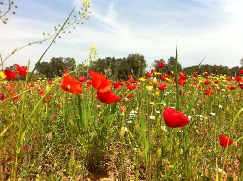 Agroturismo Agriturismo Mele
