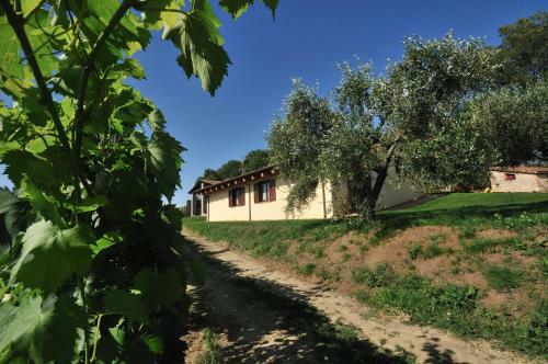 Agroturismo Agriturismo Casale Contessa