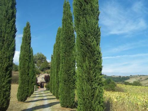 Holiday Home Podere Agnese Celle Sul Rigo