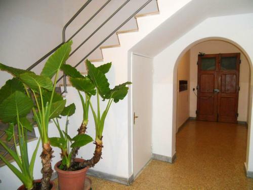 Apartment With 2 Bedrooms In Arezzo With Wifi