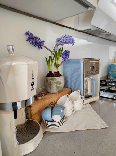 Bed & Breakfast Le Farfalle Di Armeno