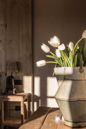 Agroturismo Borgo Antichi Orti Assisi