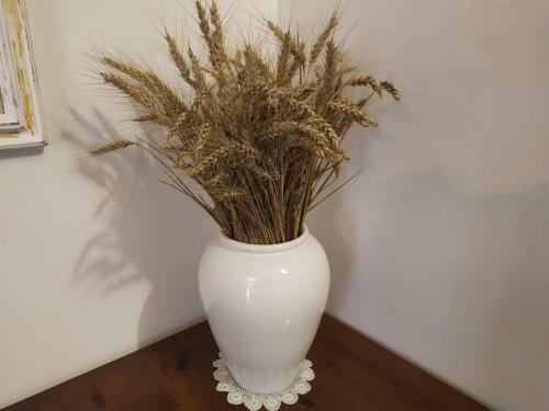 Apartamento La Dolce Agogia