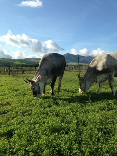 Agroturismo Rupe Delle Sorbe