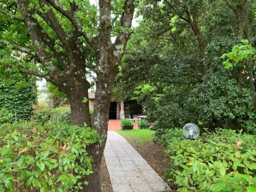 Bed & Breakfast La Volpaia