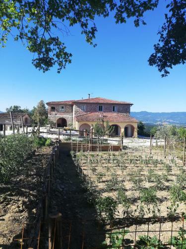 Bed & Breakfast Podere Il Sasso