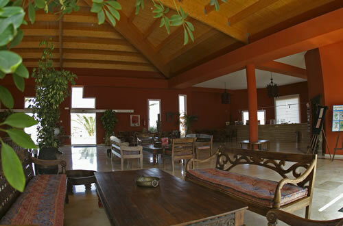 Apartamentos Oasis Papagayo Resort