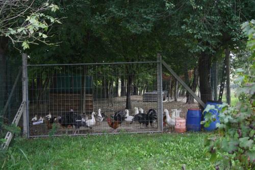 Agroturismo I Guardiani