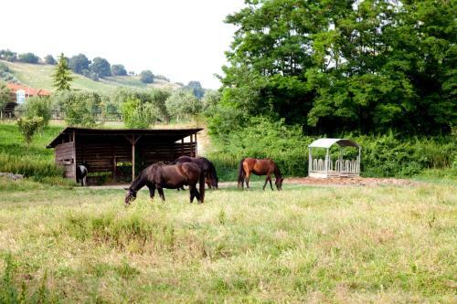 Agroturismo Agriturismo Villa Irelli