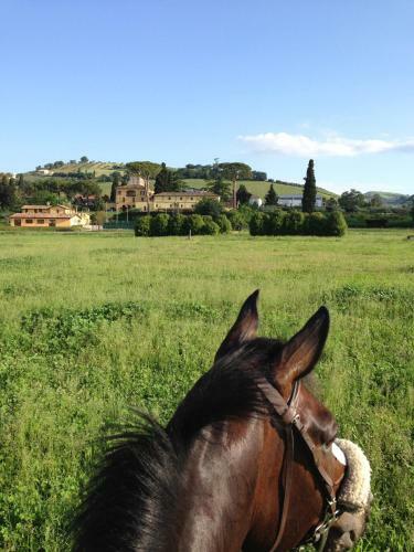Agroturismo Agriturismo Villa Irelli