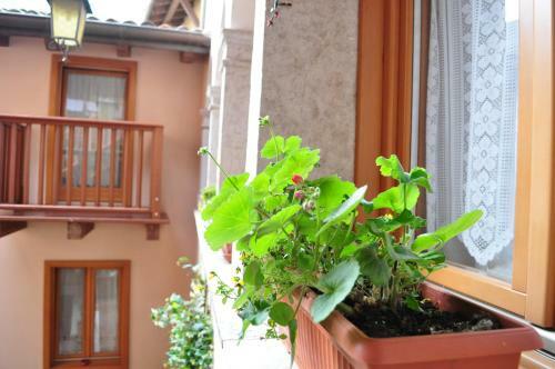 Apartamento Appartamenti Ai Vellutai