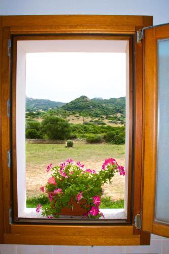 Agroturismo Agriturismo Sardo