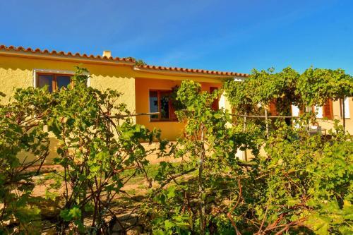 Agroturismo Agriturismo Sardo