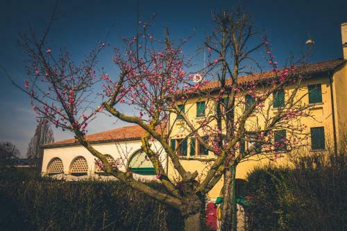 Agroturismo Le Vigne Morosina