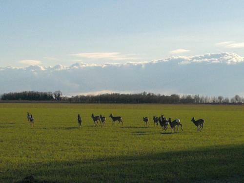 Agroturismo Al Canton Agriturismo Di Design